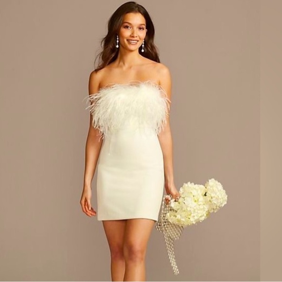 Bardot Dresses & Skirts - NWT Bardot Feather Mini Dress